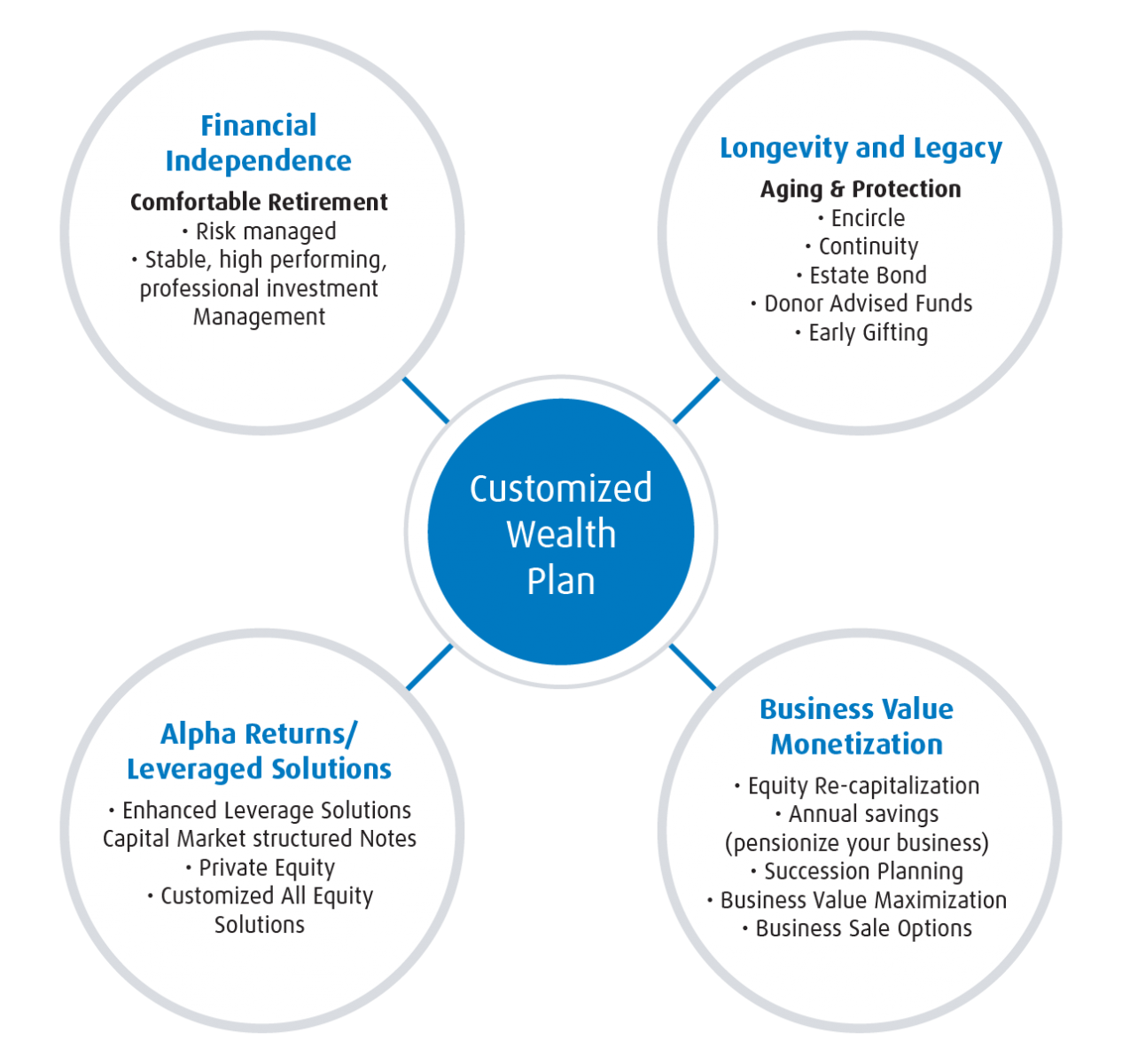 mindmap chart that breaks down "customized wealth plan" into four separate categories: financial independence, longevity and legacy, alpha returns/leveraged solutions, business value monetization