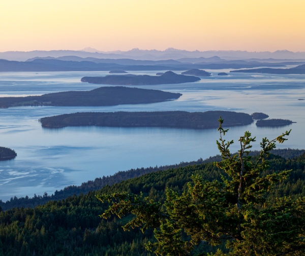 islands in the water